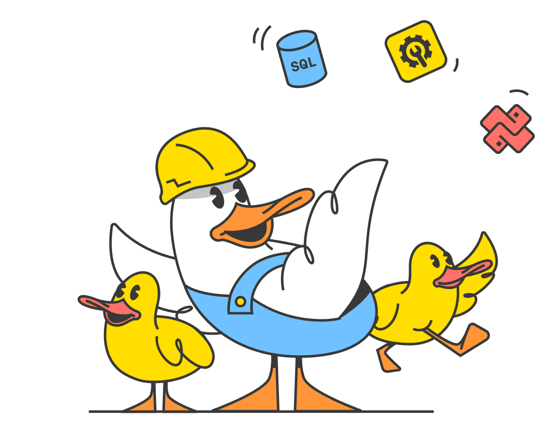 'For Data Teams' duck illustration