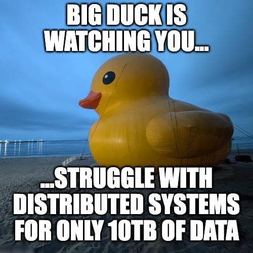 Duck Meme