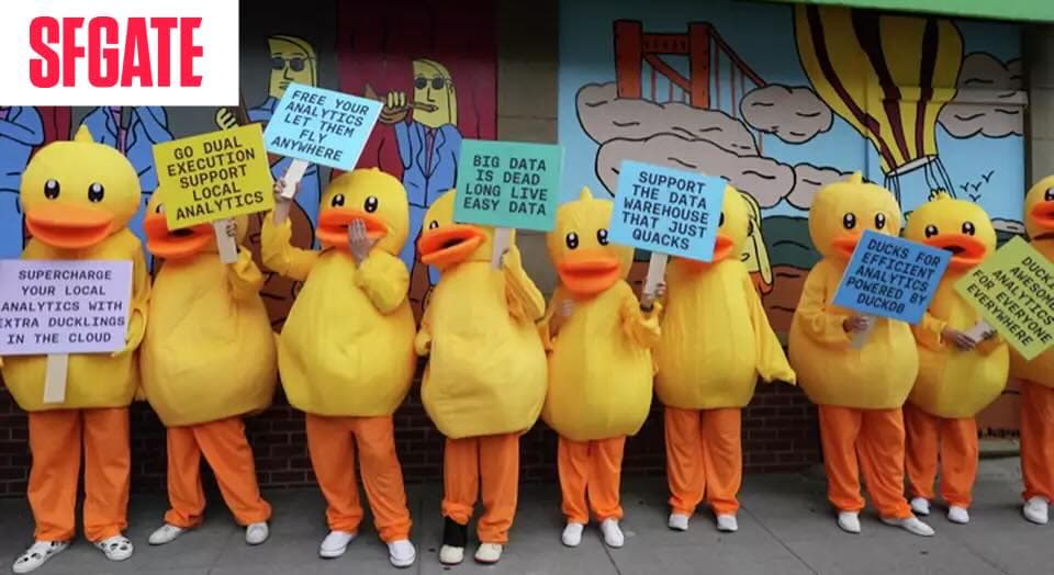 SFGATE: Ducks Wandering San Francisco 