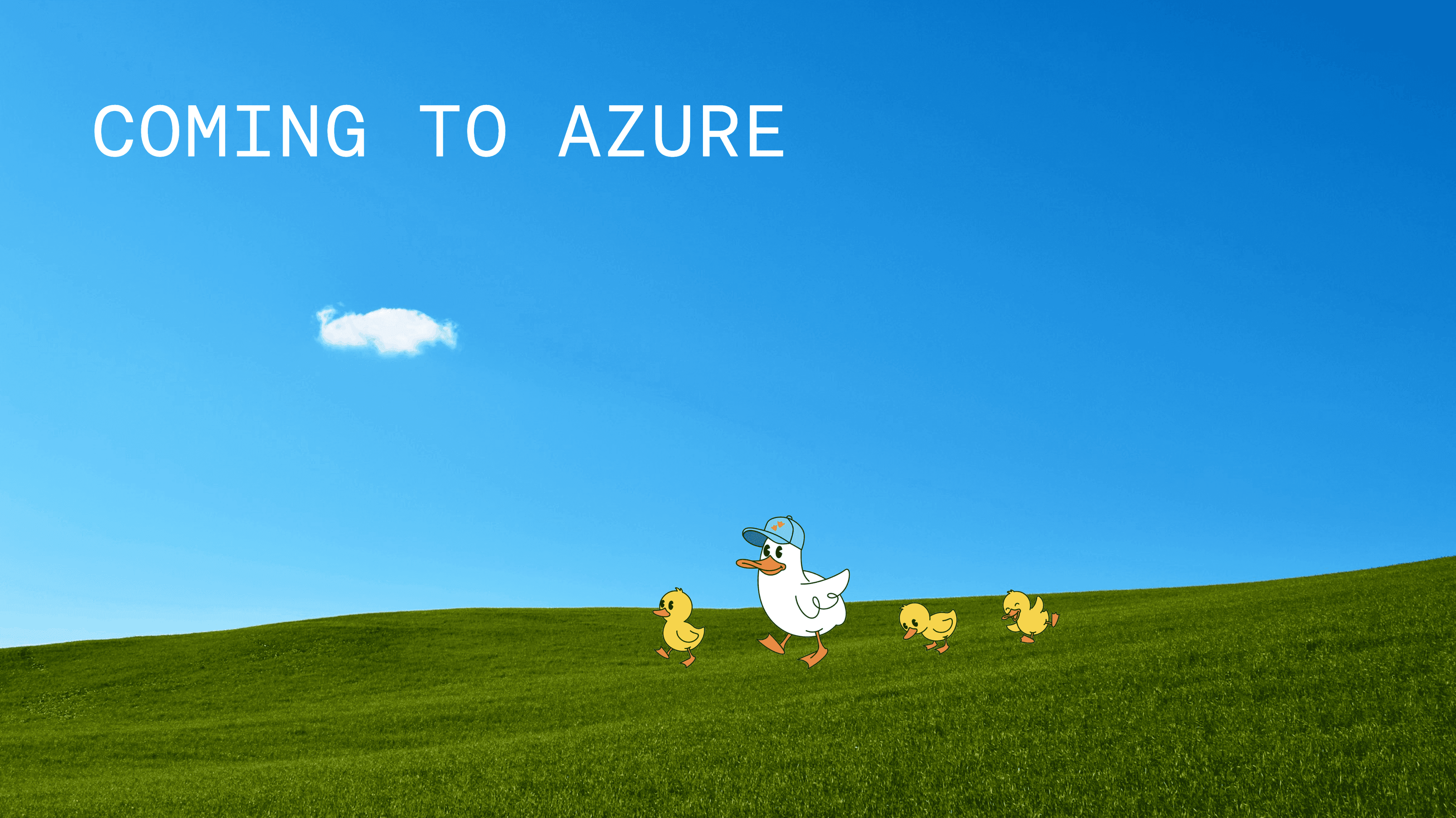 Azure Hero — Meadow (photo)@2x.png