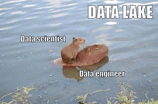 Data Lake vs Warehouse