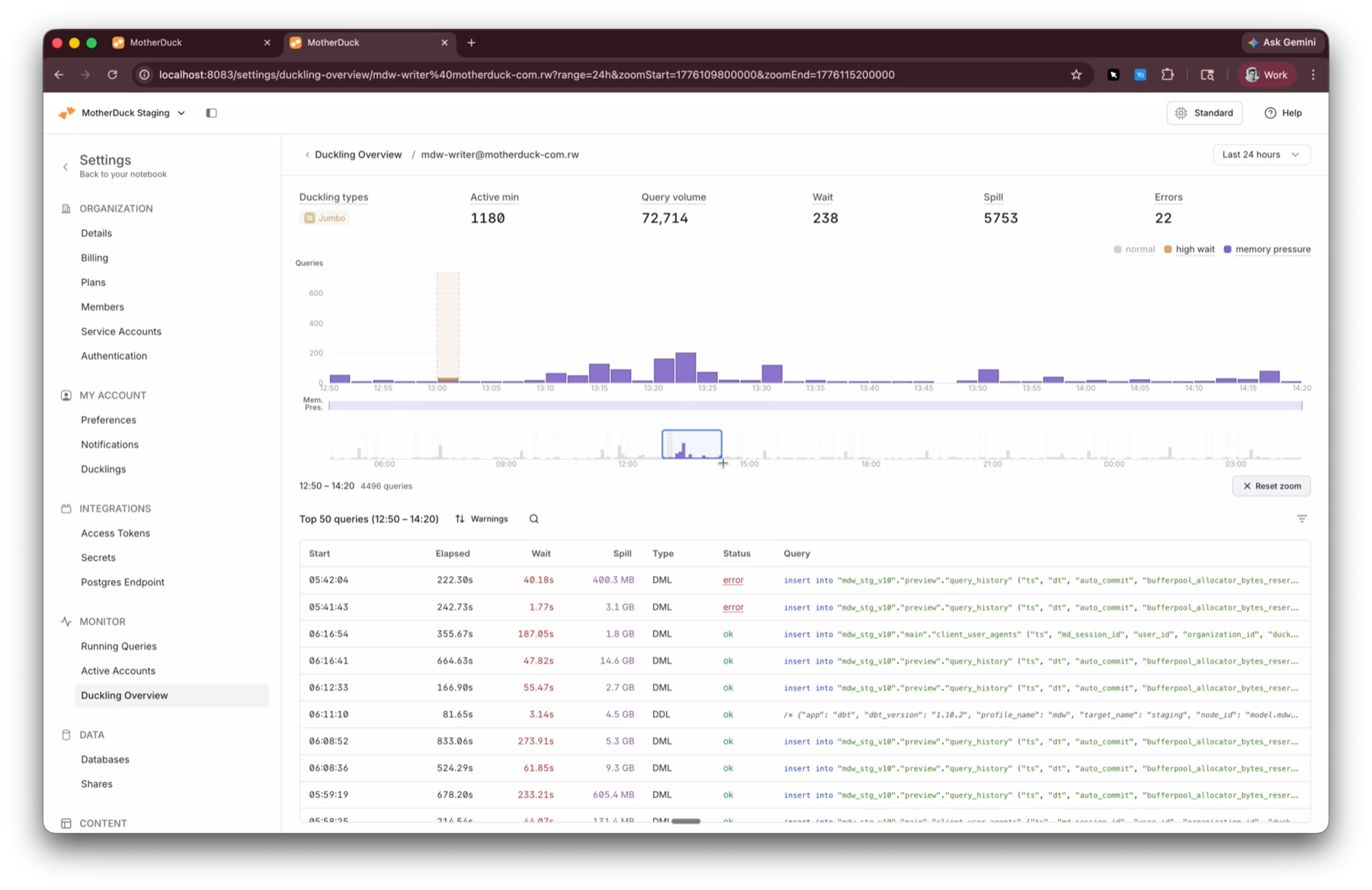 Duckling overview drill-down showing summary stats, a query activity bar chart, and a table of top queries